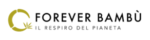 carbon manager